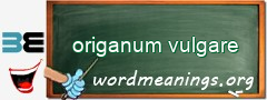 WordMeaning blackboard for origanum vulgare